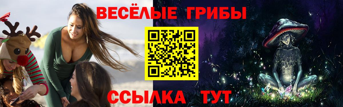 Галлюциногенные грибы Psilocybe  Галлюциногенные грибы ЛСД  Дальнереченск 