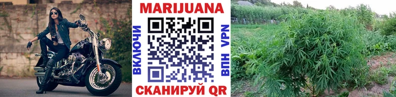 Бошки марихуана White Widow  купить наркоту  Дальнереченск 